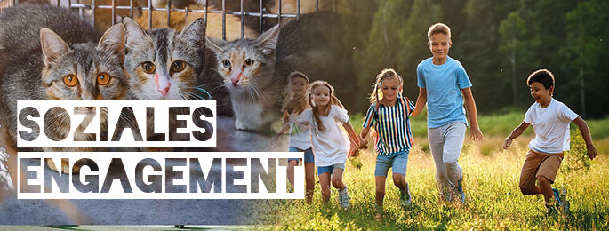 Motiv_SozialeProjekte Bildmotiv Kälberer unterstützt soziale Projekte